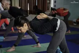 100 Hour Hatha Yoga ttc in India