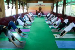 300 Hour Intermediate Ashtanga Yoga Teacher Training in India