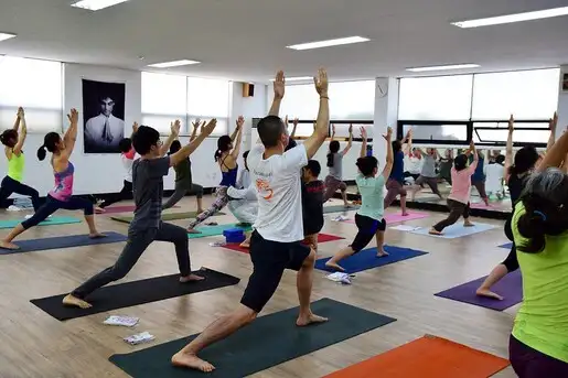 Mysore Style Yoga Teacher Training in India